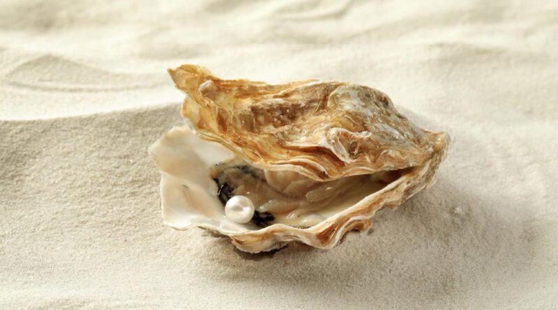 Pearl Identification and Classification: How Experts Tell Real Pearls from Fake Ones